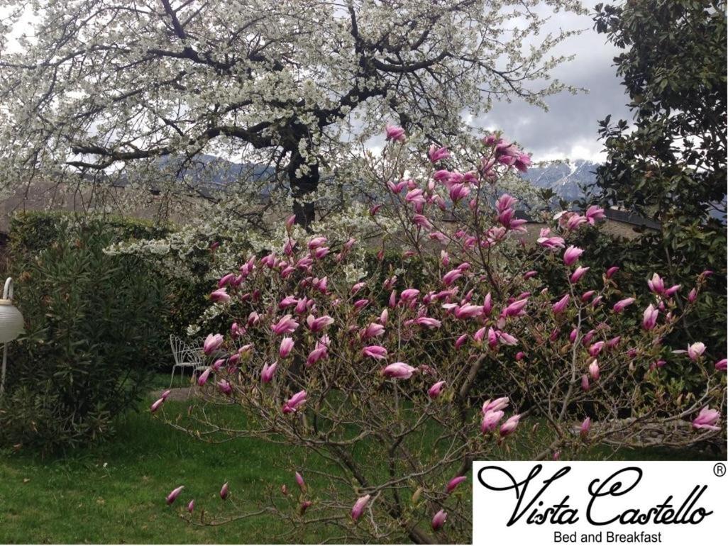 ロヴェレート Vista Castello Bed & Breakfast エクステリア 写真